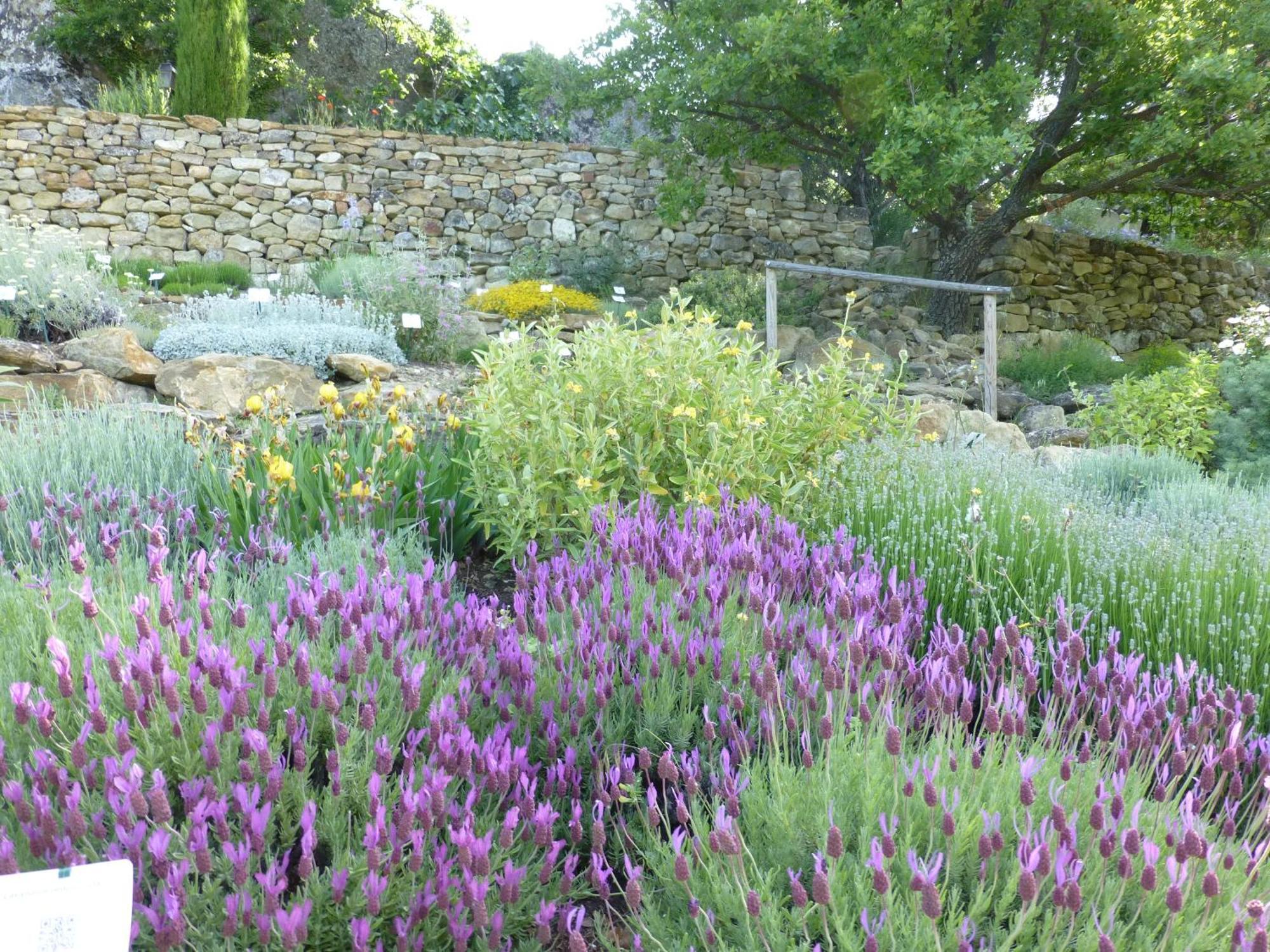 הוילה Simiane-la-Rotonde Les Jardins De L'Abbaye חדר תמונה